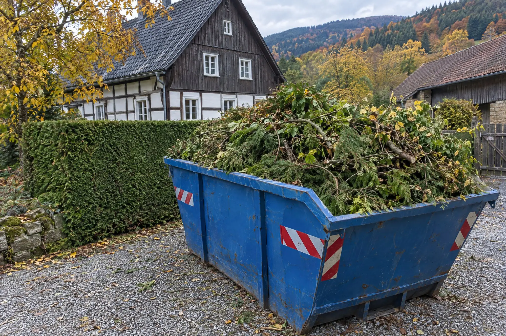Container voller Heckenschnitt auf einem Hof im Harz, dahinter die geschnittene Hecke