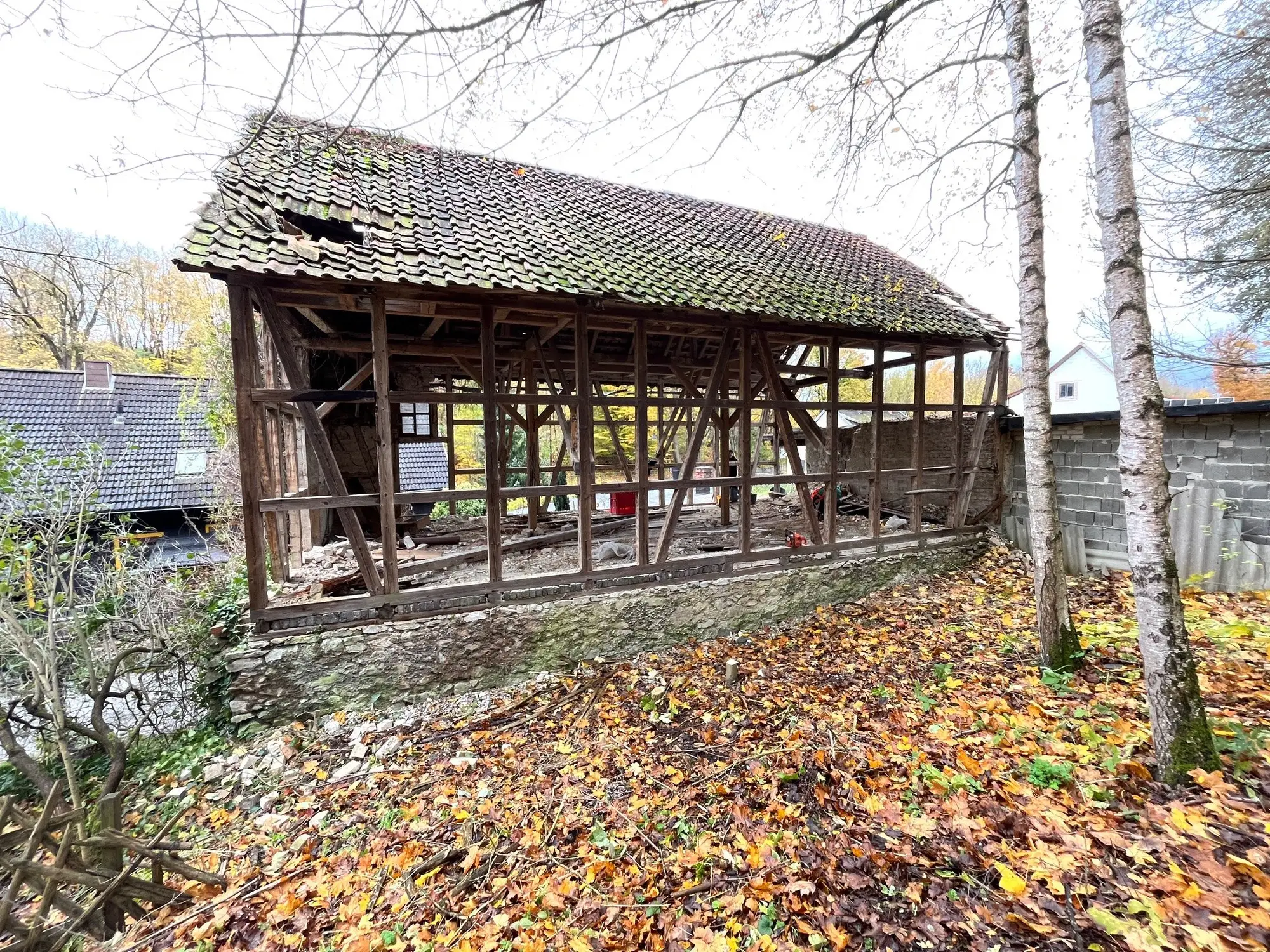 Alte Fachwerkscheune mit Ziegeldach zwischen Birken und Herbstlaub