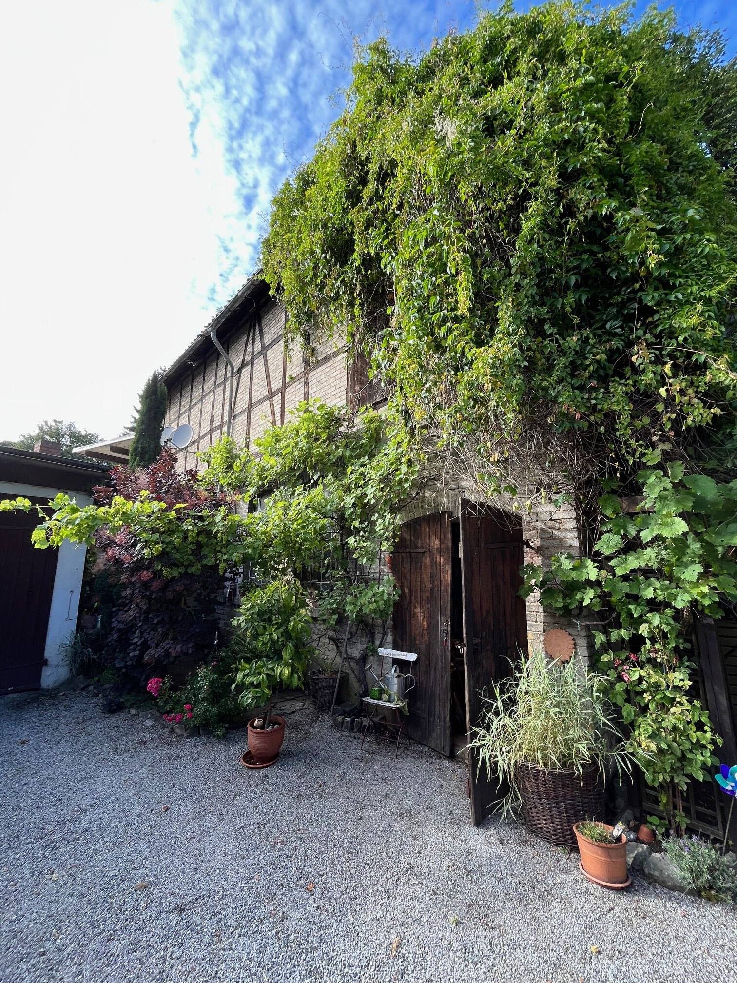 Zugewachsener Hofeingang mit Holztor, Pflanzen und Kübeln