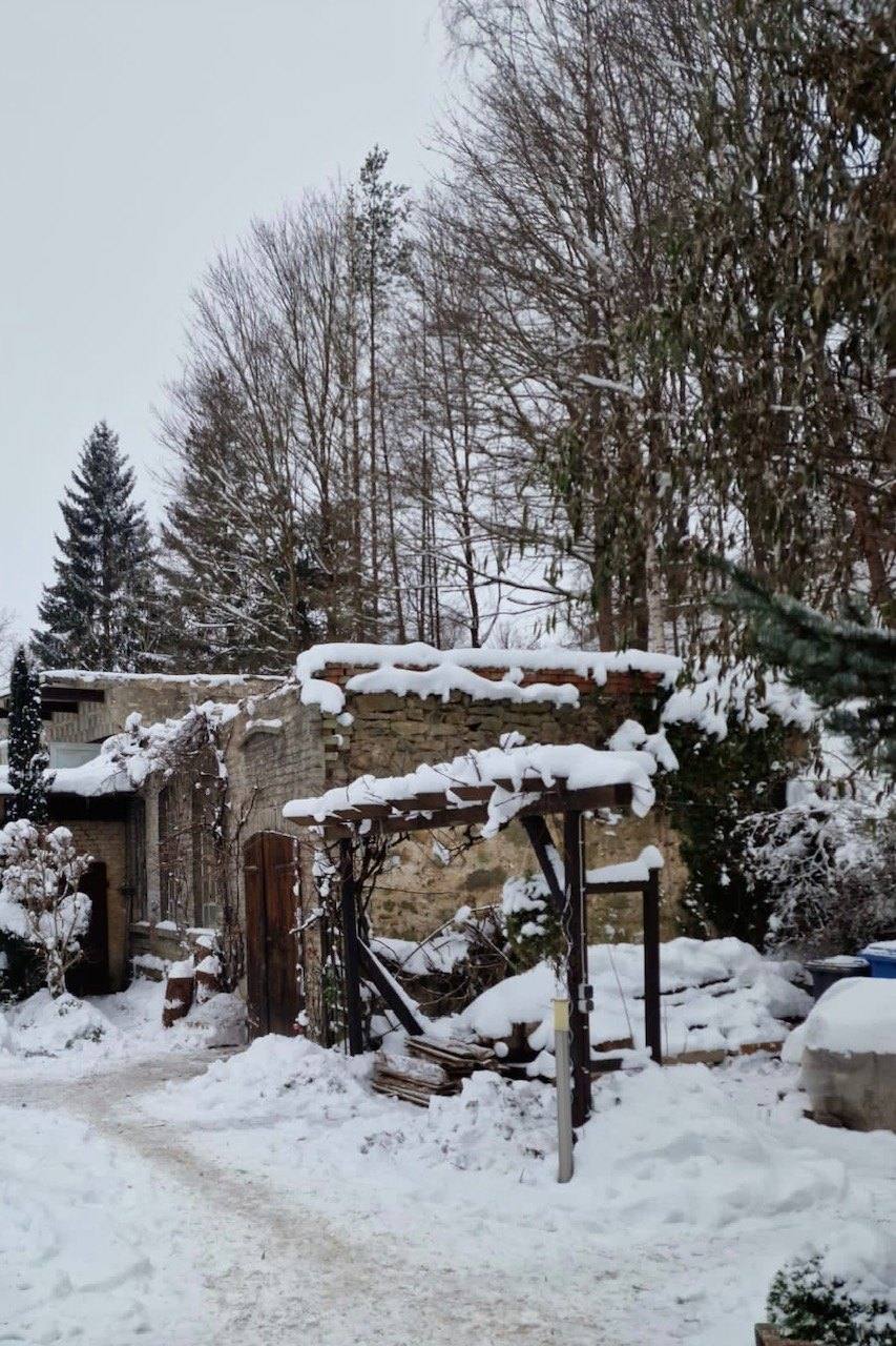 Nebengebäude mit abgedecktem Dach im Schnee, Bäume dahinter